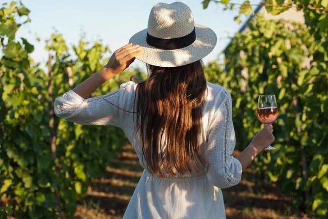 Wine Tasting & Vineyards Escape near Tirana - Why this wine trip works from Tirana