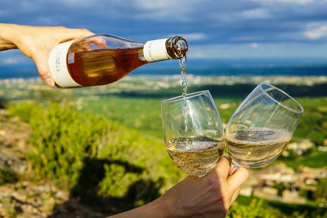 Wine Tasting & Vineyards Escape near Tirana - Starting at the Twin Towers
