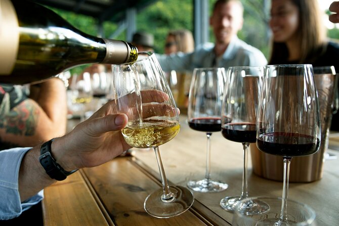 Wine Tasting & Vineyards Escape near Tirana - Three wines and traditional snacks