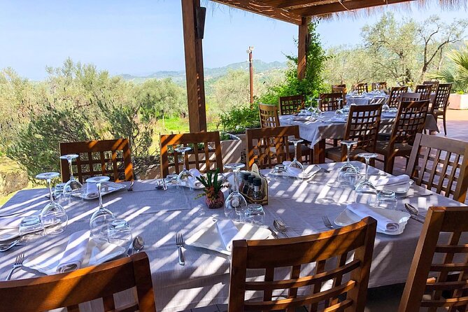 Wine Tasting & Vineyards Escape near Tirana - A quiet walk with valley views