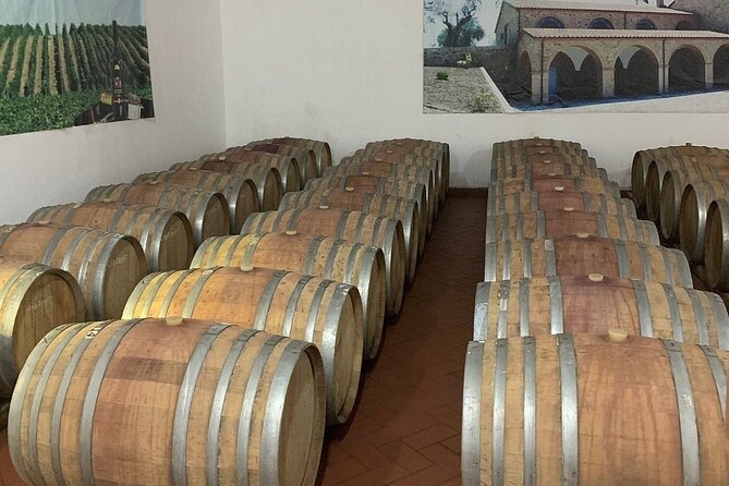Wine Tasting & Vineyards Escape near Tirana - How good is the value at $118.58?