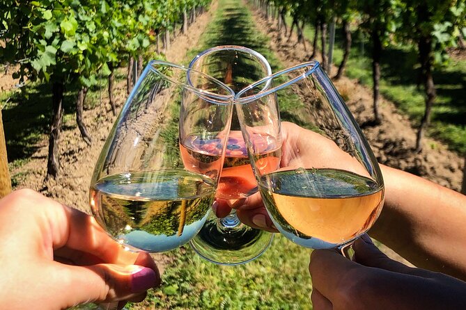 Wine Tasting & Vineyards Escape near Tirana - The guide and group size