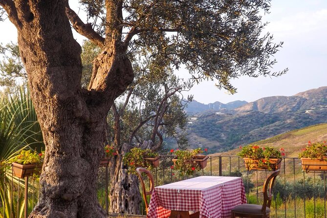 Wine Tasting & Vineyards Escape near Tirana - Who should book this outing?