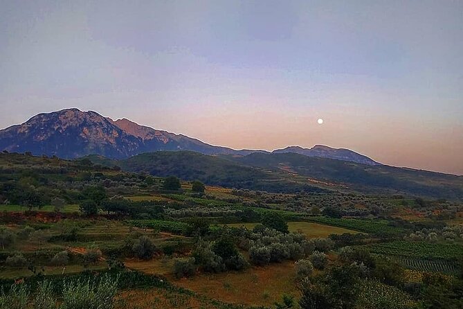 Winetasting tour in Alpeta winery - Roshnik village by 1001 Albanian Adventures - Is $71.08 a fair price?